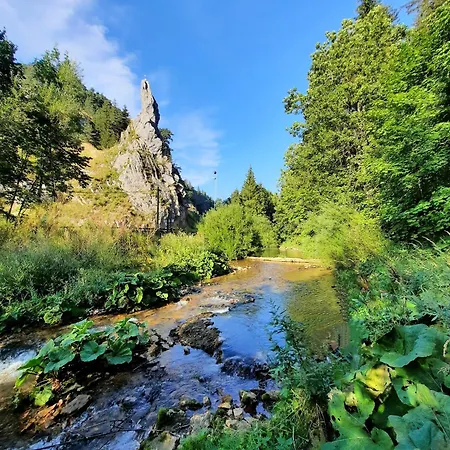 Grand De La Roche Pointue - - Domaine * Villard-de-Lans
